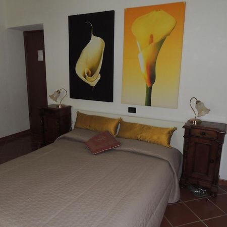 Agriturismo Podere Borgognano Масса-Мариттима Номер фото