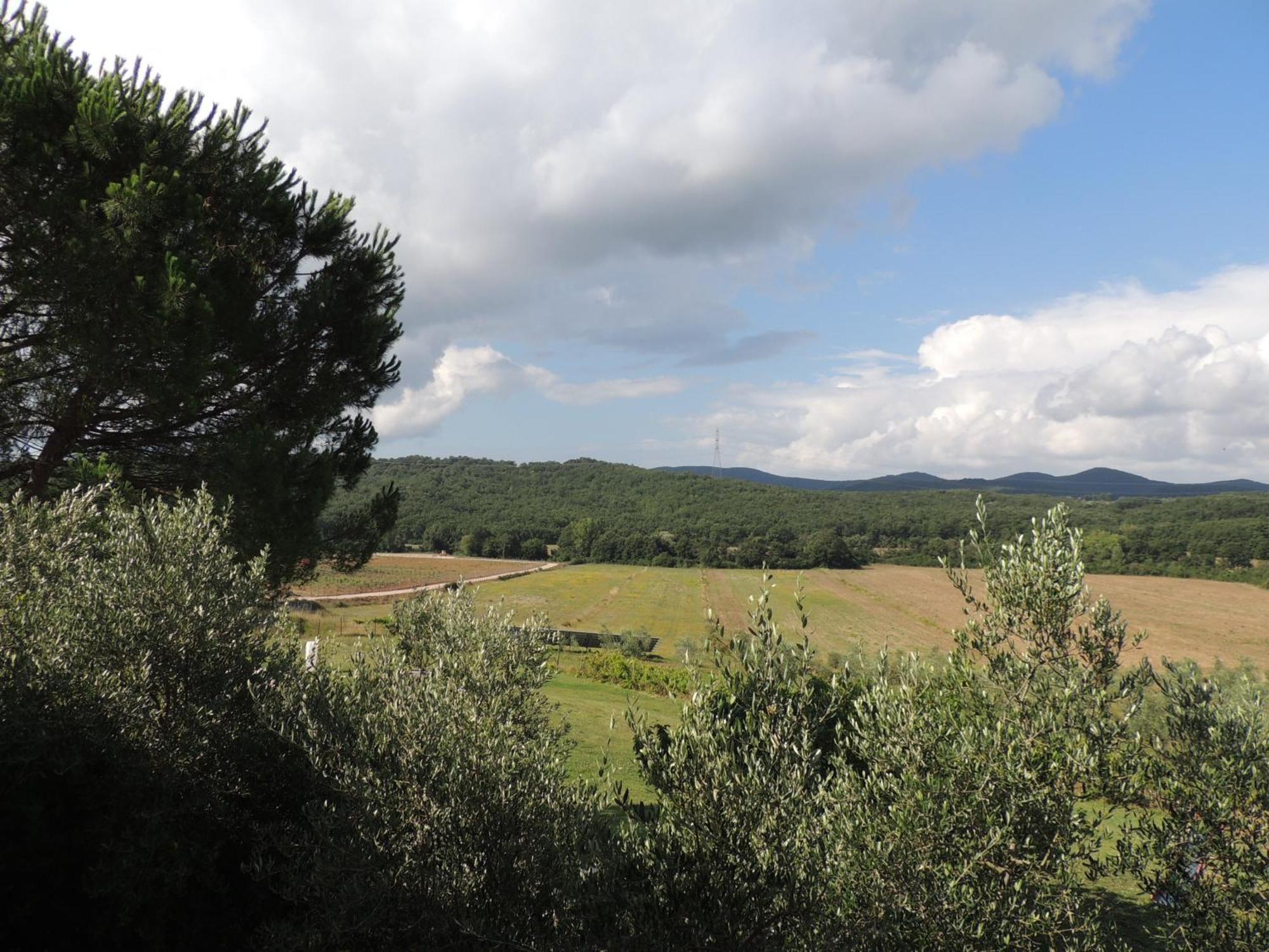Agriturismo Podere Borgognano Масса-Мариттима Номер фото