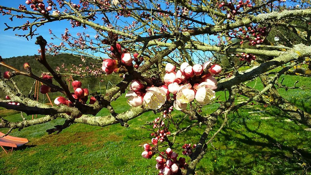 Agriturismo Podere Borgognano Масса-Мариттима Экстерьер фото