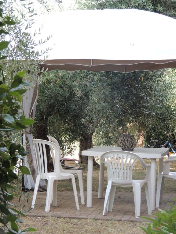 Agriturismo Podere Borgognano Масса-Мариттима Экстерьер фото