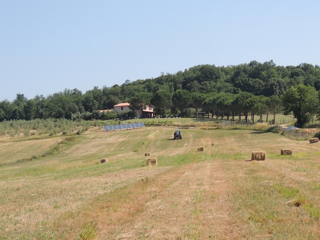 Agriturismo Podere Borgognano Масса-Мариттима Экстерьер фото