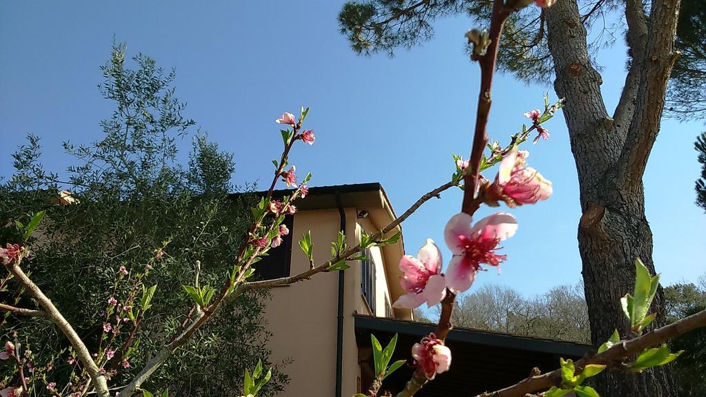 Agriturismo Podere Borgognano Масса-Мариттима Экстерьер фото