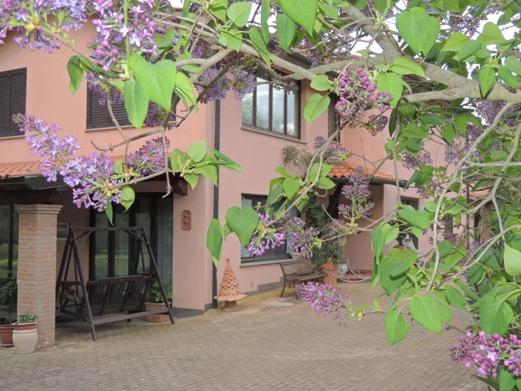 Agriturismo Podere Borgognano Масса-Мариттима Экстерьер фото
