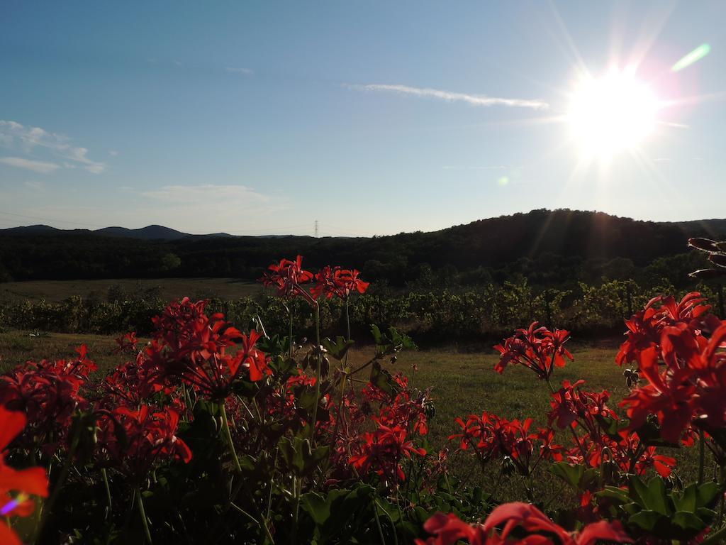 Agriturismo Podere Borgognano Масса-Мариттима Экстерьер фото