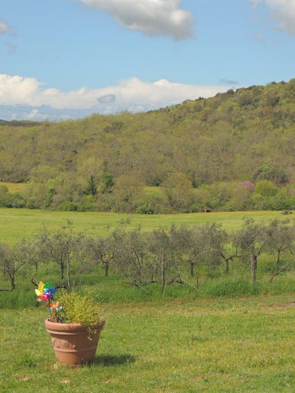 Agriturismo Podere Borgognano Масса-Мариттима Экстерьер фото